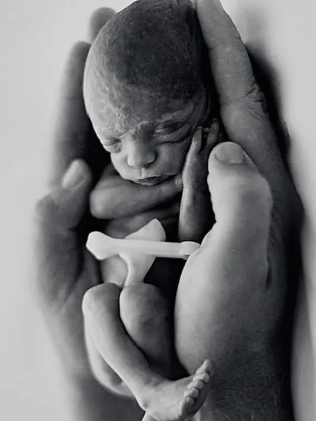 Add a heading - 2024-05-28T174604.027