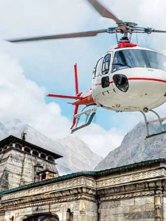 Untitled design - 2024-05-14T151258.039