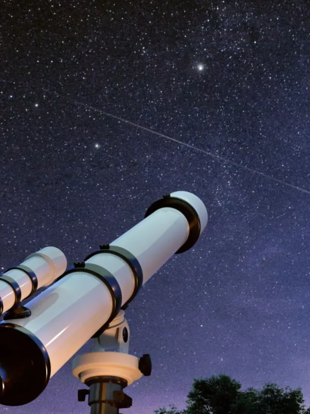 Untitled design - 2024-05-23T160457.737