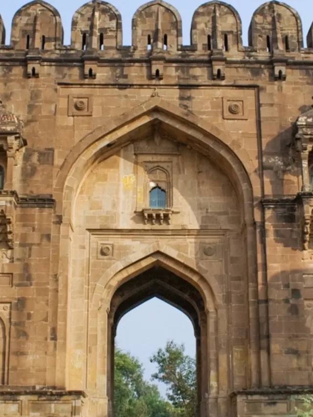 Untitled design - 2024-05-24T120054.734