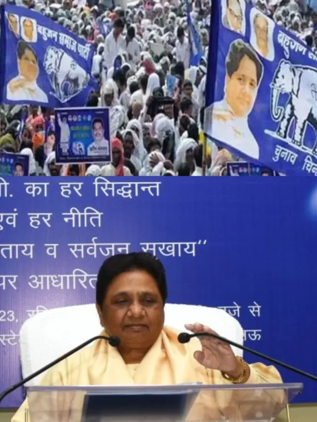 Untitled design (51)