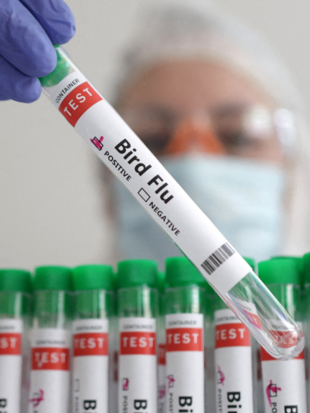 WHO confirms H5N2 bird flu first fatal human case