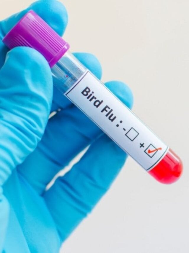 Screenshot 2024-06-06 183923