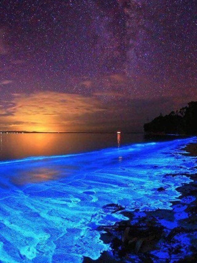 Screenshot 2024-06-09 172859