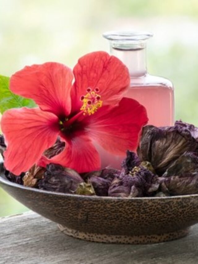 बाल ही नहीं सेहत के लिए भी जरुरी हैं, गुड़हल ( Hibiscus)