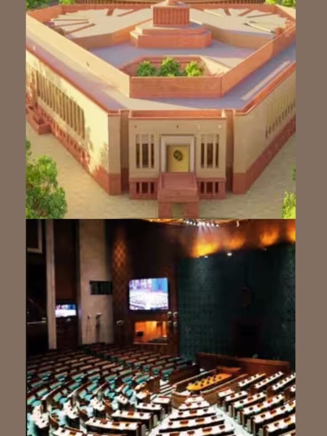 Untitled design (12)