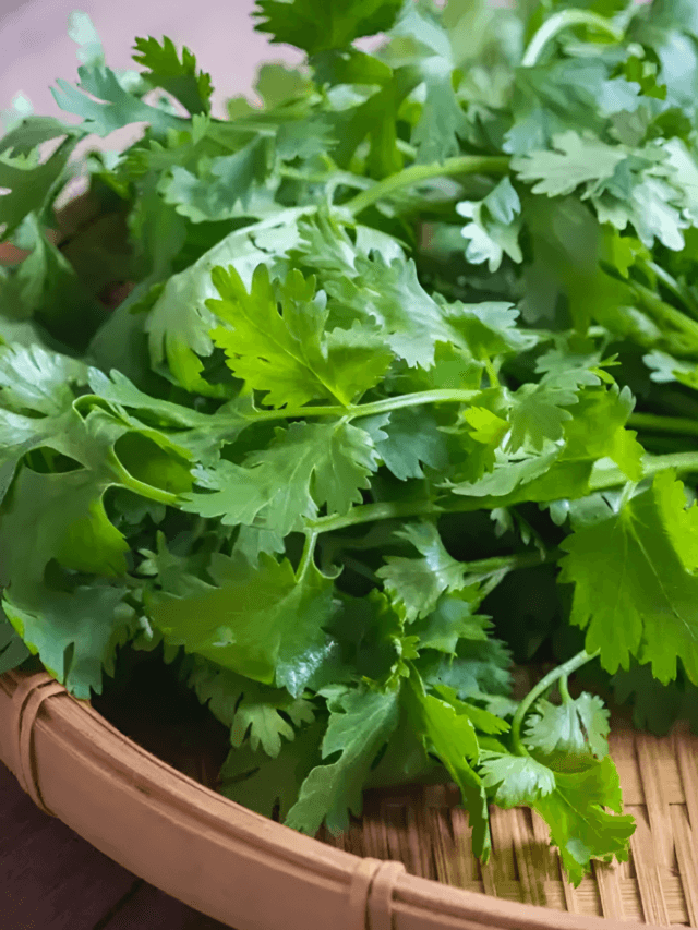 download - 2024-06-25T202656.345