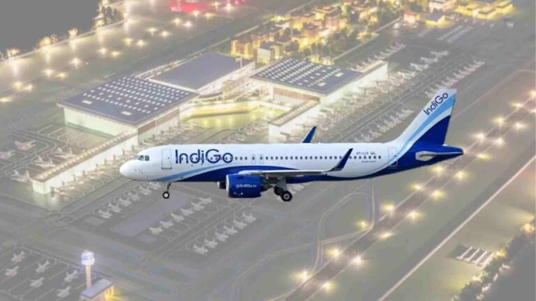 indigo flight