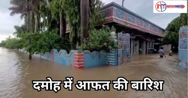 Weather News Update Hindi: दमोह में आफत की बारिश, मकानों के डूबने के संकेत