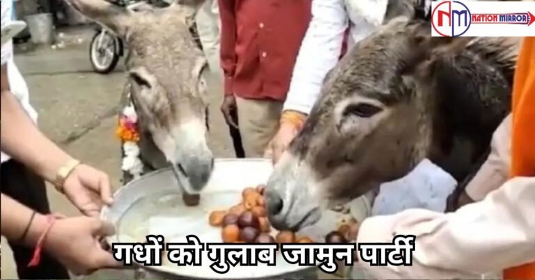 MP Latest News: गधों को गुलाब जामुन पार्टी