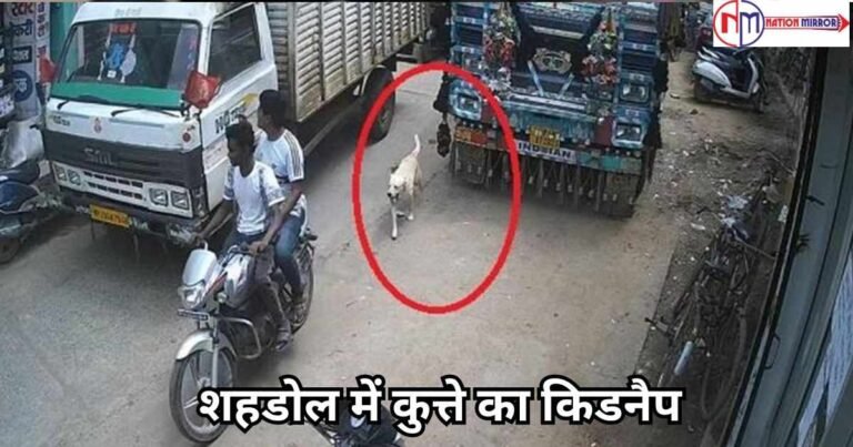 MP Breaking News: शहडोल में कुत्ते का किडनैप