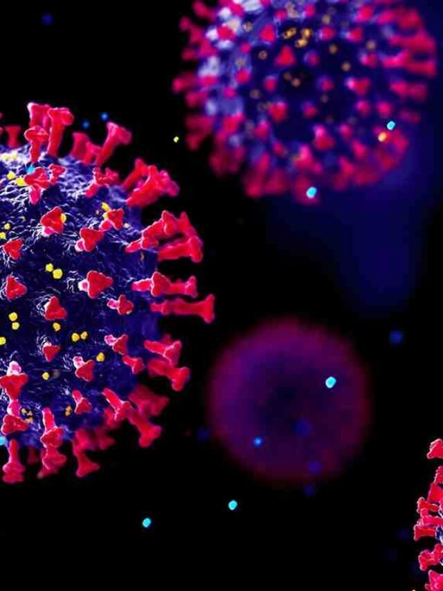 Newly Identified Virus