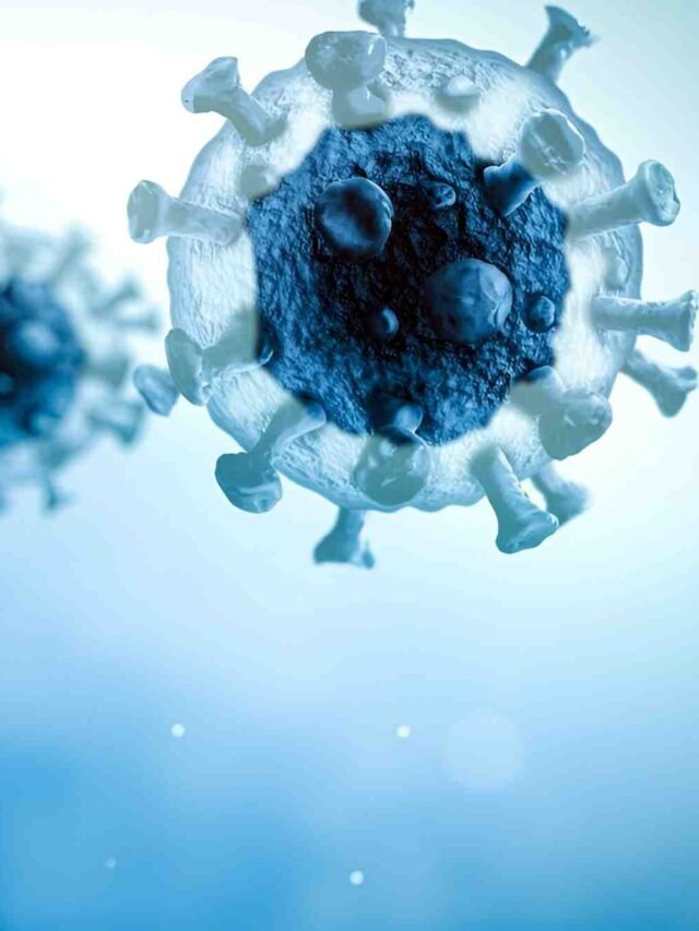 Newly Identified Virus2