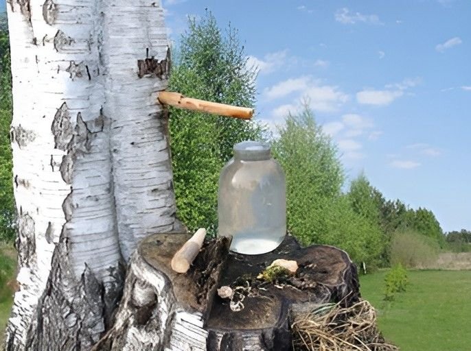 Birch Juice Moisturizer natural skin infection solutions