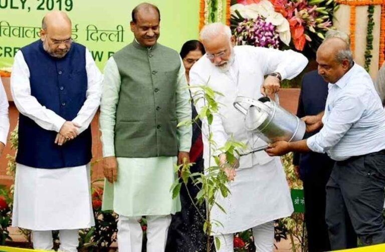 एक पेड़ मां के नाम