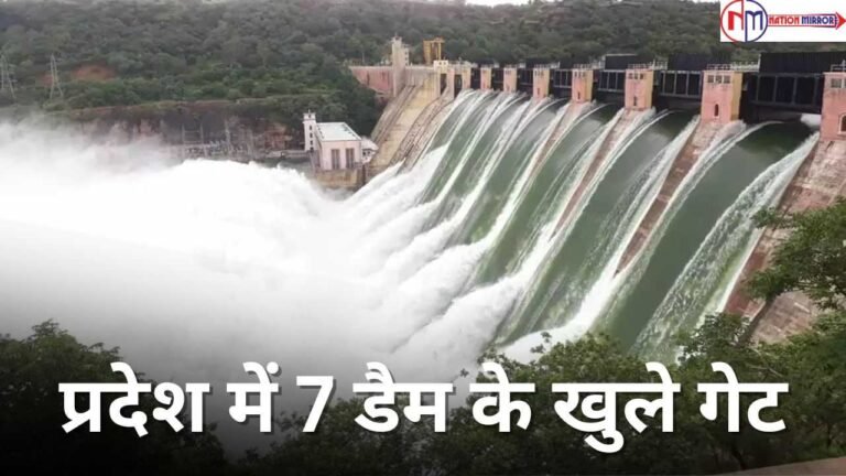 MP Weather News in Hindi: प्रदेश में 7 डैम के गेट खोले, नर्मदा नदी का जलस्तर बढ़ा