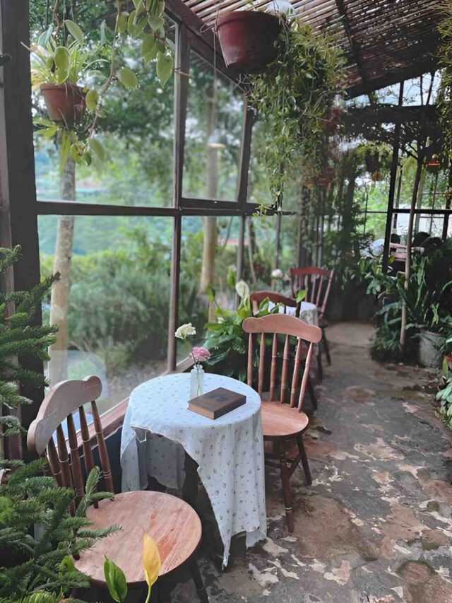 घर में दिखें ये संकेत तो धन हानि तय! तुरंत संभल जाएं .