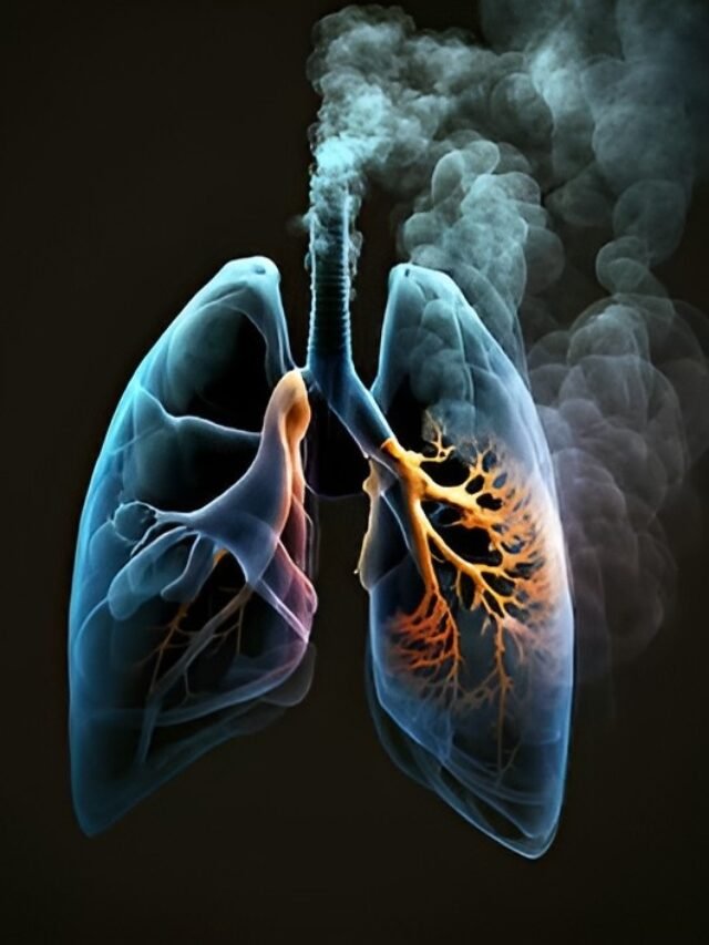 lungs.