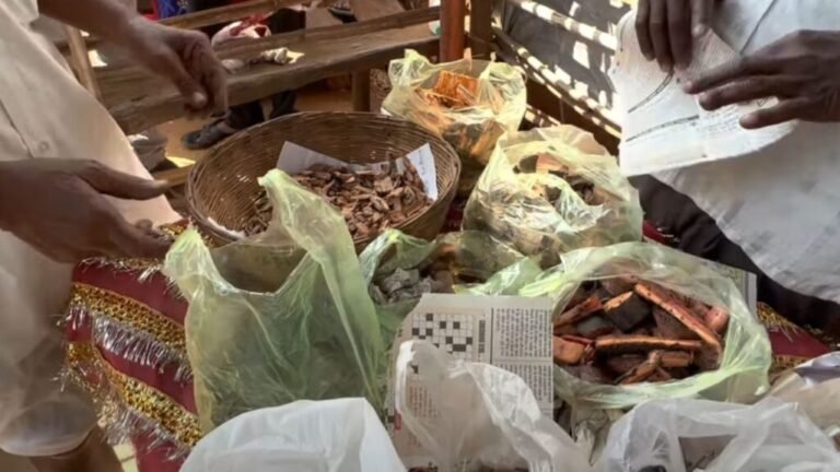 Cancer Treatment By Ayurved: सतपुड़ा का जड़ी बूटियों वाला गांव, कैंसर का होता है फ्री इलाज