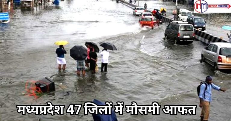 Weather News of MP: मध्यप्रदेश 47 जिलों में मौसमी आफत