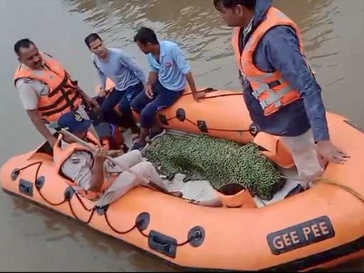 MP News: 18 घंटे बाद डॉक्टर का शव बरामद