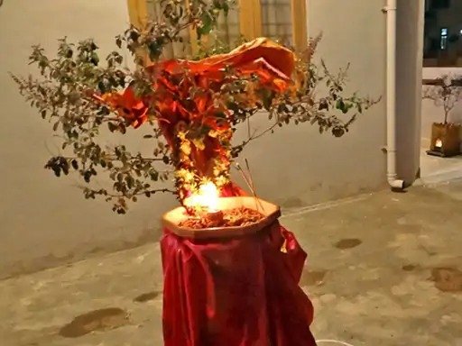 Indira Ekadashi light a lamp near Tulsi Kyara in the evening