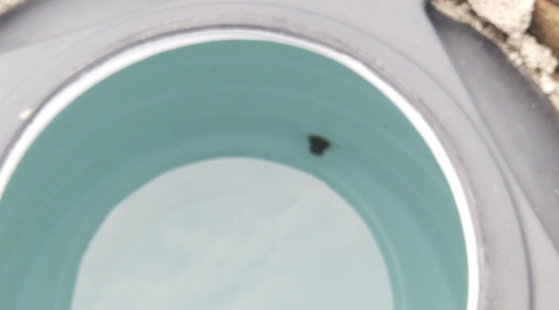 प्राथमिक विद्यालय बालक नहला में पानी टंकी में मरी हुई छिपकली टंकी मिलने का वीडियो हुआ वायरल