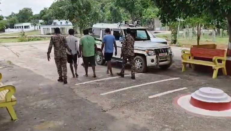 तीन आरोपियों के खेतों से साढ़े तीन क्विंटल गांजे के हरे पेड़ पुलिस ने किए जप्त