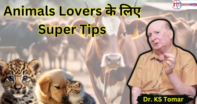 Screenshot 2024-09-28 110714