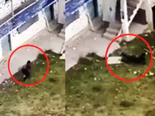 Terrorist Jumped from building fell down shot by army