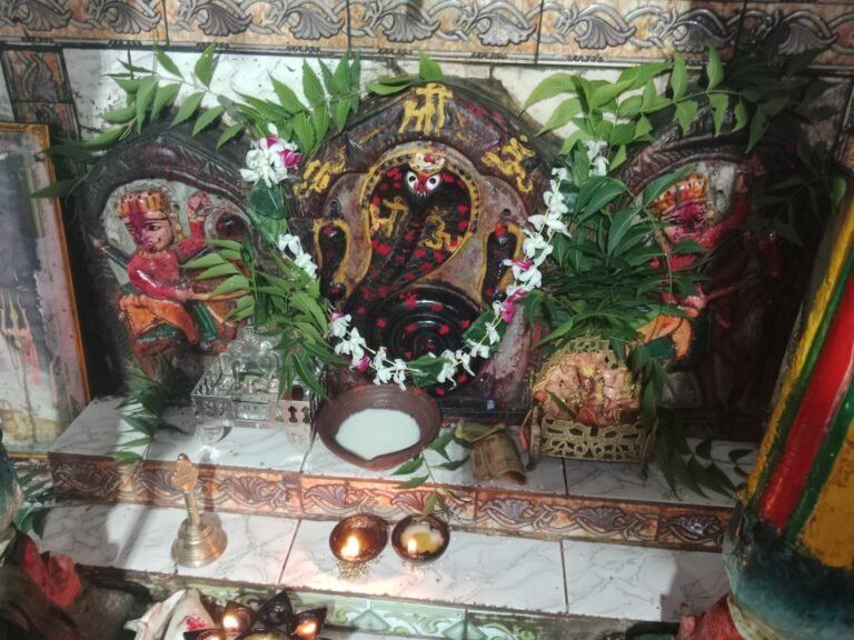 विज्ञान पर आस्था भारी घर में घर का कार्य कर रही महिला