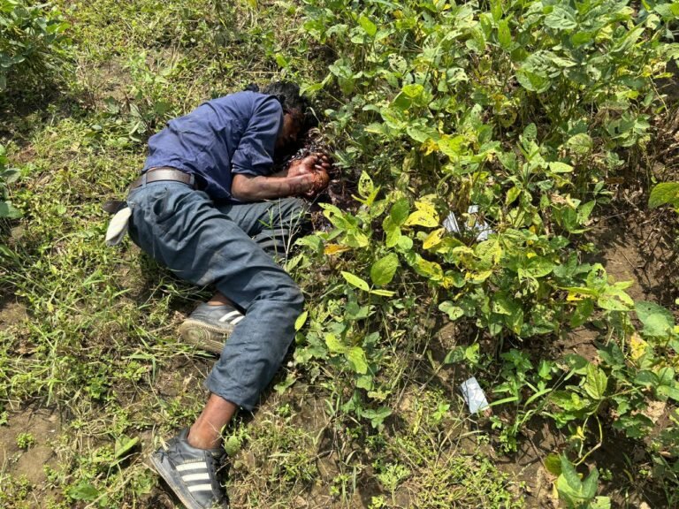 गांव में लाश मिलने से मचा हड़कंप