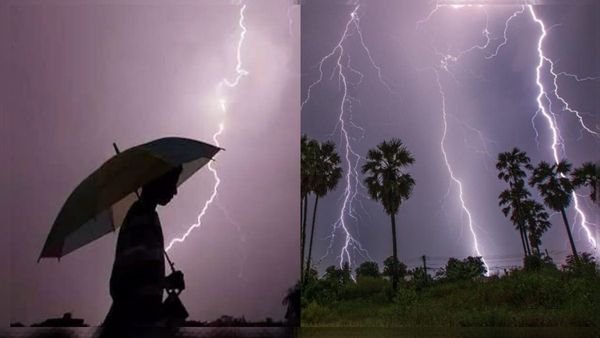 CG NEWS: छत्तीसगढ़ में आसमानी आफत का कहर