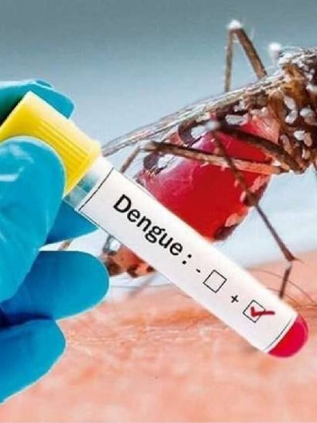 Mp news: ग्वालियर में डेंगू से पहली मौत