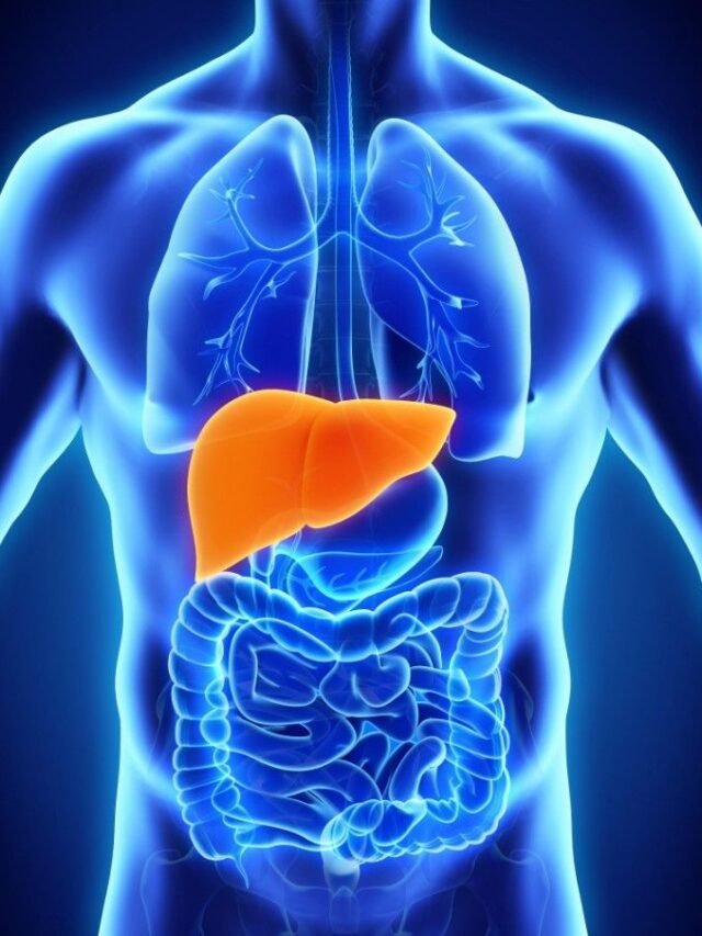 liver