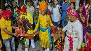 Ujjain Cow Nandi Marriage:उज्जैन में नंदी और गाय की धूमधाम से हुई शादी