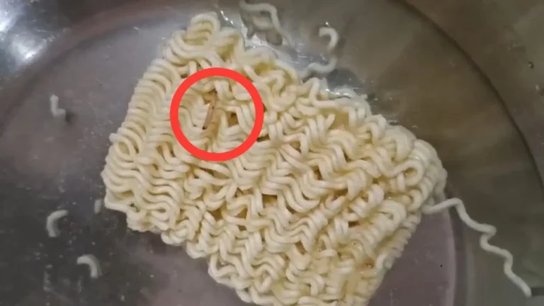 जबलपुर में मैगी नूडल्स में मिले जिंदा कीड़े, कस्टमर ने वीडियो बनाकर की शिकायत