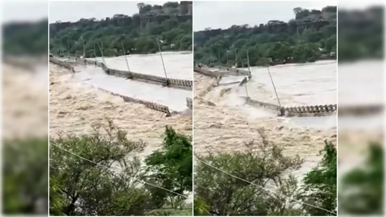 navbharat-times-85032428