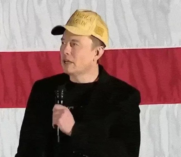 Elon Musk raised questions on EVM