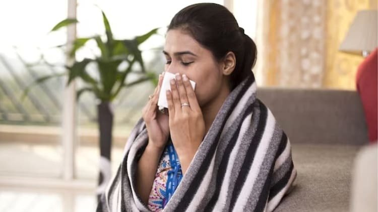 How flu season is triggering dengue, malaria, chikungunya in post Covid India