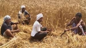 modi-government-increases-msp-for-14-kharif-crops