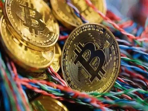 British Woman Throws Billions Of Bitcoin Codes In Garbage