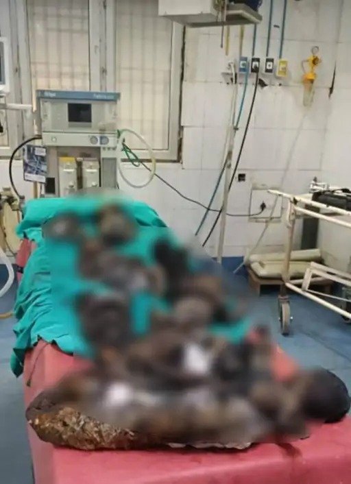 Jhansi fire incident up govt change committee