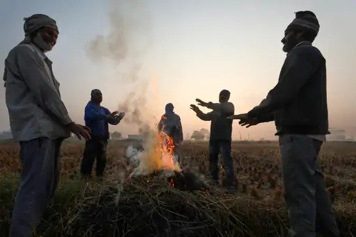 Mercury plunges in Mount Abu, temperature 5