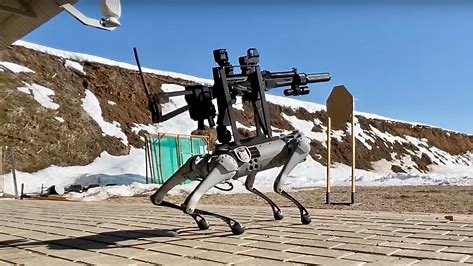 Robotic dogs stationed at the borders of india