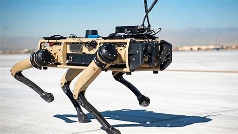 Robotic dogs stationed at the borders of india  