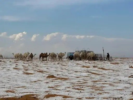 Snow covers the desert, heavy snowfall first time in Saudi Arabia 
