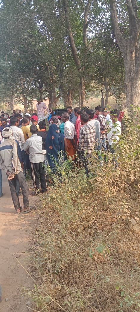 WhatsApp Image 2024-11-19 at 6.39.45 PM