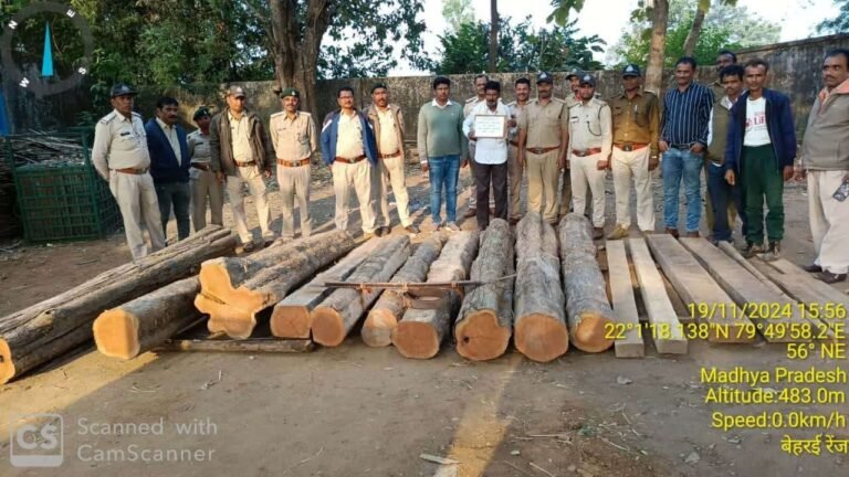 वन विभाग की बड़ी कार्यवाही, बड़ी मात्रा में सागौन के साथ पकड़ाया हाफिज खान