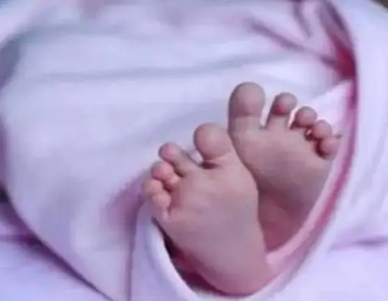 girl abondons new born on street, ends up eaten by dogs